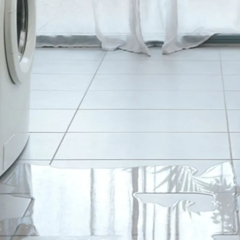 Appliance Leak Cleanup in King, WI