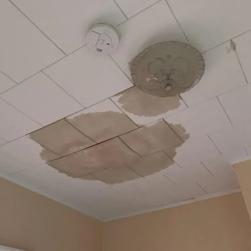 Ceiling Water Damage Repair in King, WI