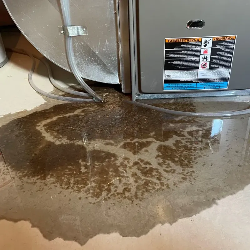 Pipe Burst and Leak Restoration in King, WI