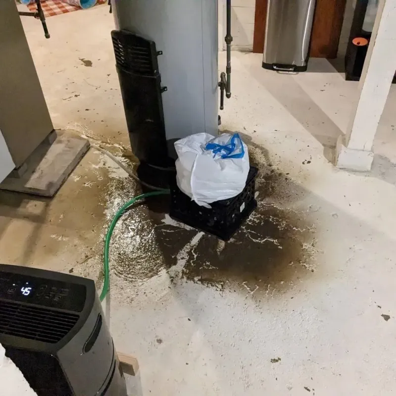 Sewage Backup Cleanup Service in King, WI